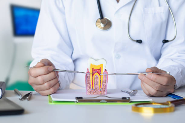 Best Pediatric Emergency Dentist in East Speer, NC